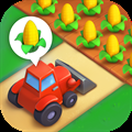 Township