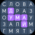 Word Search Puzzles for Adults