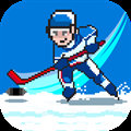 Ice Hockey PRO