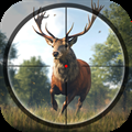 Hunting Game