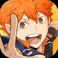 HAIKYU FLY HIGH