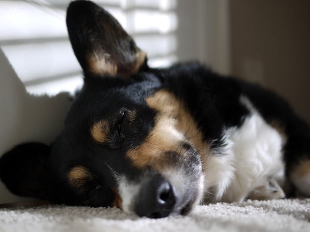 Games of the week for E3 2010: Everyone's tired edition
