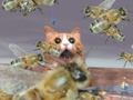 The catpocalypse is real, and it's happening in TF2
