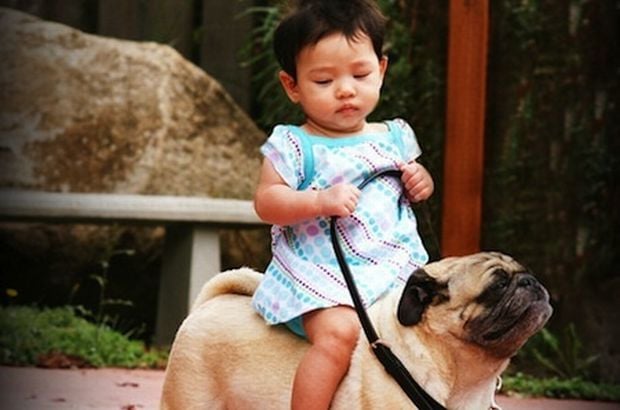 The Daily Hotness: LOOK AT THIS PUG!