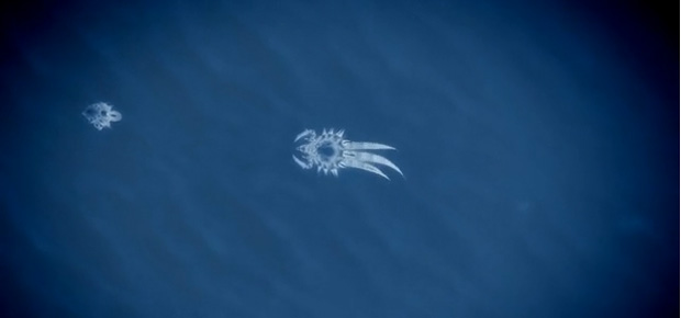 flOw recreated using the StarCraft II map editor