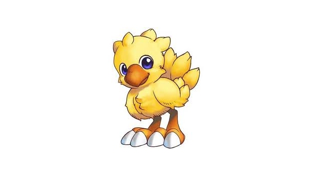 Taking it to the streets: What is a chocobo?