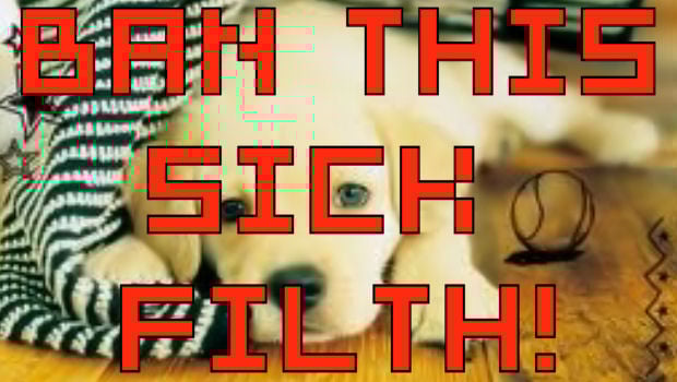 Nintendogs blamed for vicious dog attack