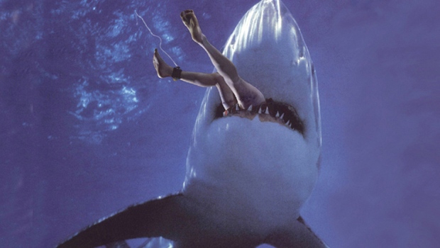 The Daily Hotness: Hamza was ironically eaten by a shark