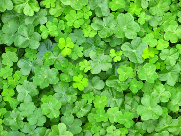 Square Enix trademarks Clover E@rth