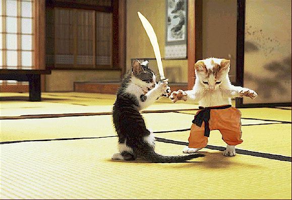 Destructoid Live: Sengoku Basara: Samurai Heroes