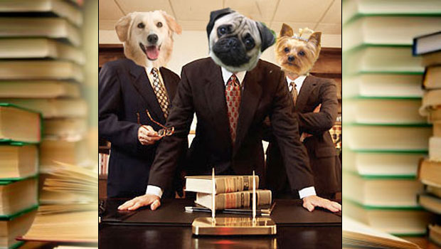 Sierra portal pulled after Activision lawyer dogs attack