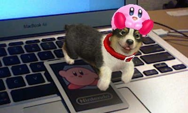 3DS: My Nintendogs corgi's Kirby hat, or in Link hair