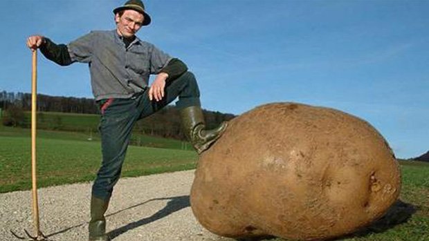 Steam tempts you with indie game 'Potato Sack' sale