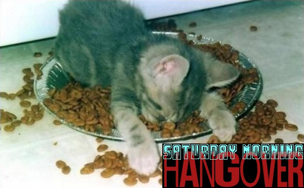 Watch us seek revenge tomorrow morning on Hangover