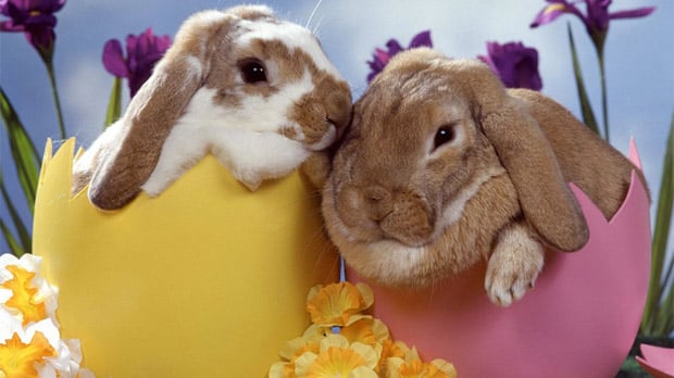 Weekend Mobile roundup: Easter deals edition
