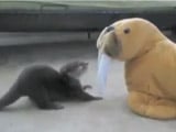 The Daily Hotness: Flawless victory