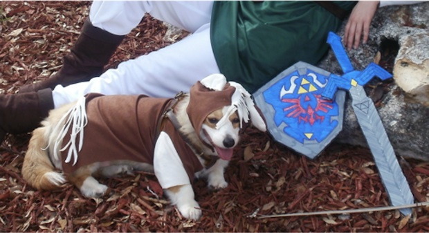 Corgi cosplays Epona from The Legend of Zelda series!