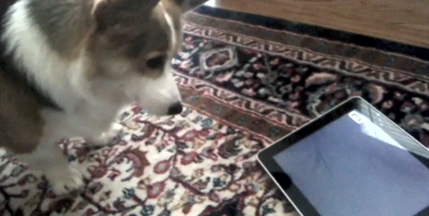 High resolution iPad 3 slated for early 2012, says WSJ