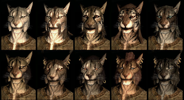 Spend the next hour looking at Skyrim's preset faces