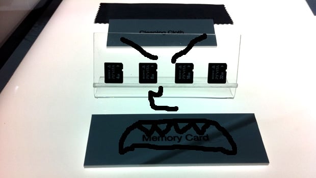 PS Vita memory cards might kill your wallet