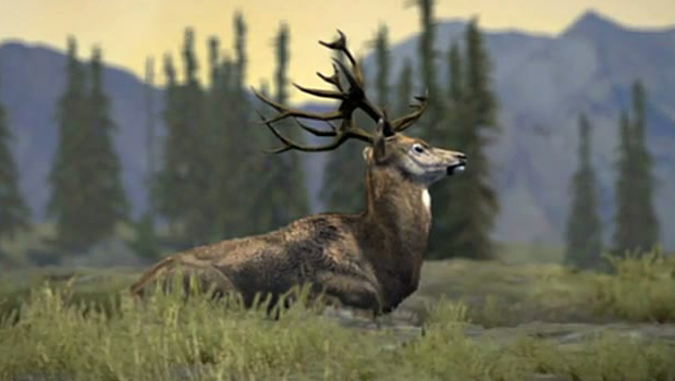 Find a Golden Buck for a shot at $50,000 from Activision