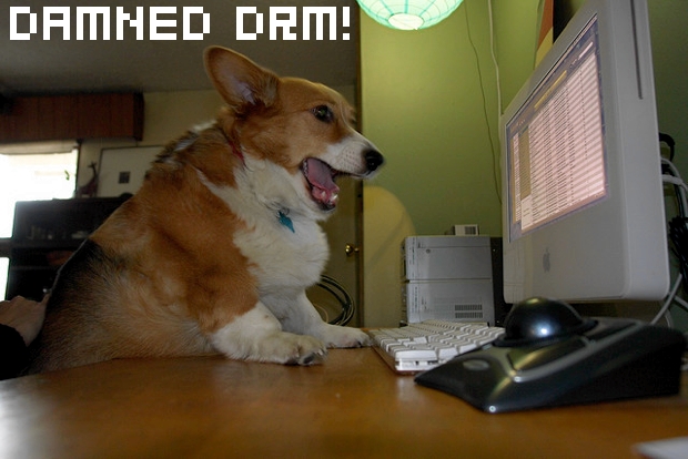 PSN DRM: Try remote deactivation of all your PS systems