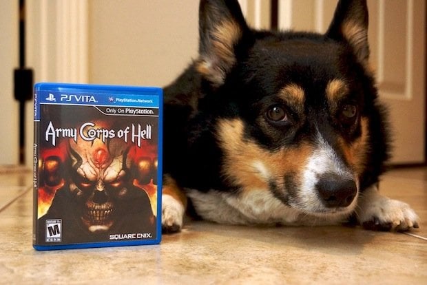 Army Corgis of Hell