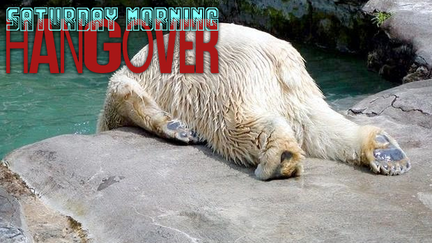 Live show: Hangover is bear-ly clinging to sanity