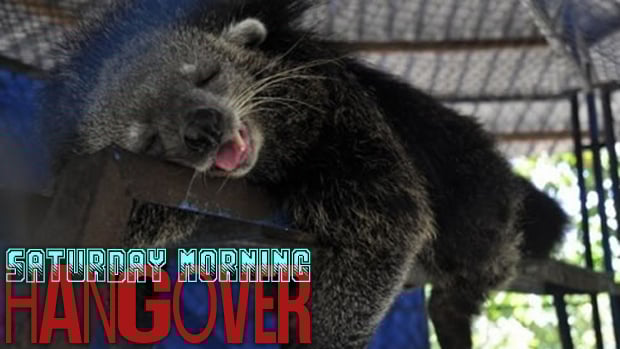 Live show: The Hangover is AWake