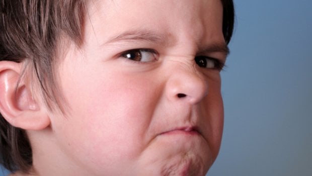 BioWare writer versus the Internet