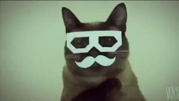 The Daily Hotness: Dubstep Hipster Cat