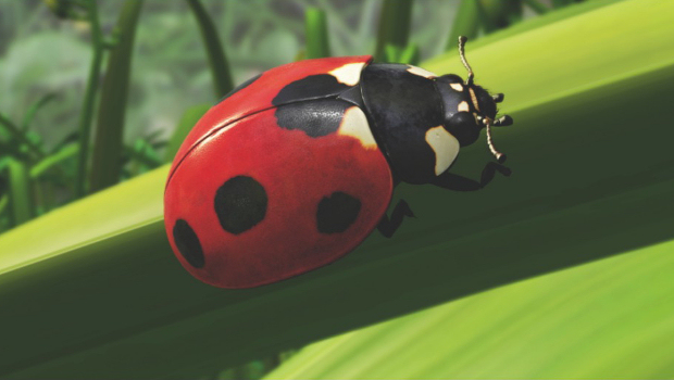 Will the PS4 be capable of visuals like this?