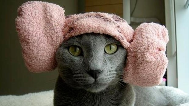 Wha' Happened: Earmuff Day