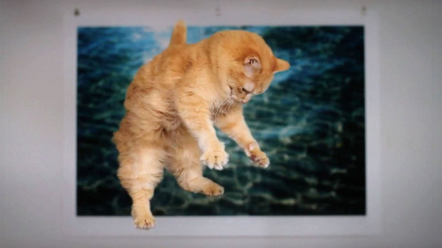 The Daily Hotness: Hovercat