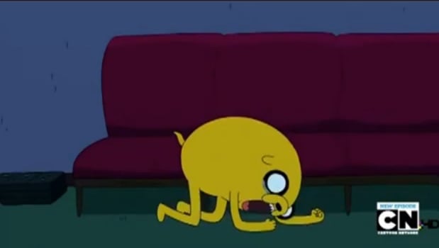 The Daily Hotness: Jake gets a spider bite
