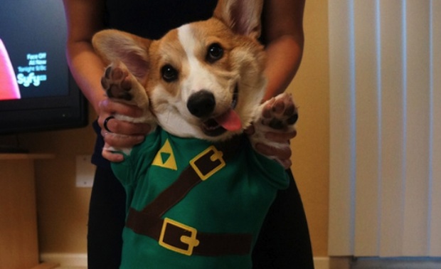 Amazon's Halloween costume contest: $1,000 gift card
