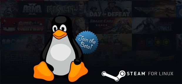Steam client for Linux enters open beta