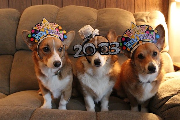 Happy New Year 2013!
