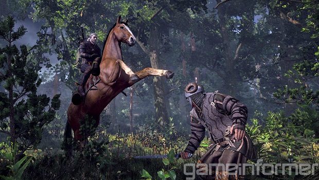 More details on The Witcher 3's new influences