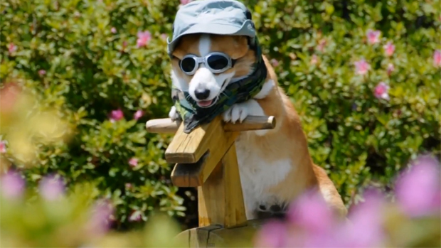 The Weekend Hotness: A wooden horse with a corgi on top