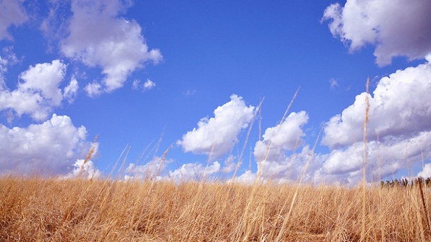 MS spending $700M on servers because the cloud demands it