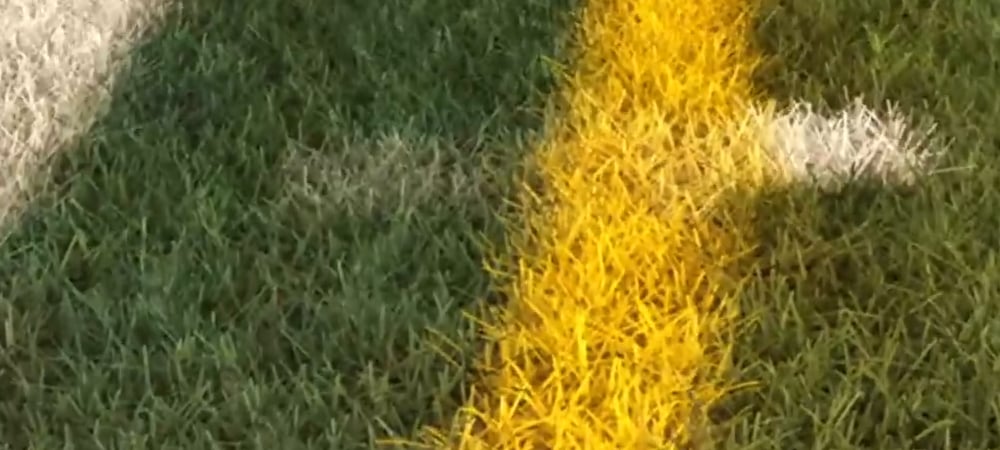 Watch Madden 25 designers describe grass