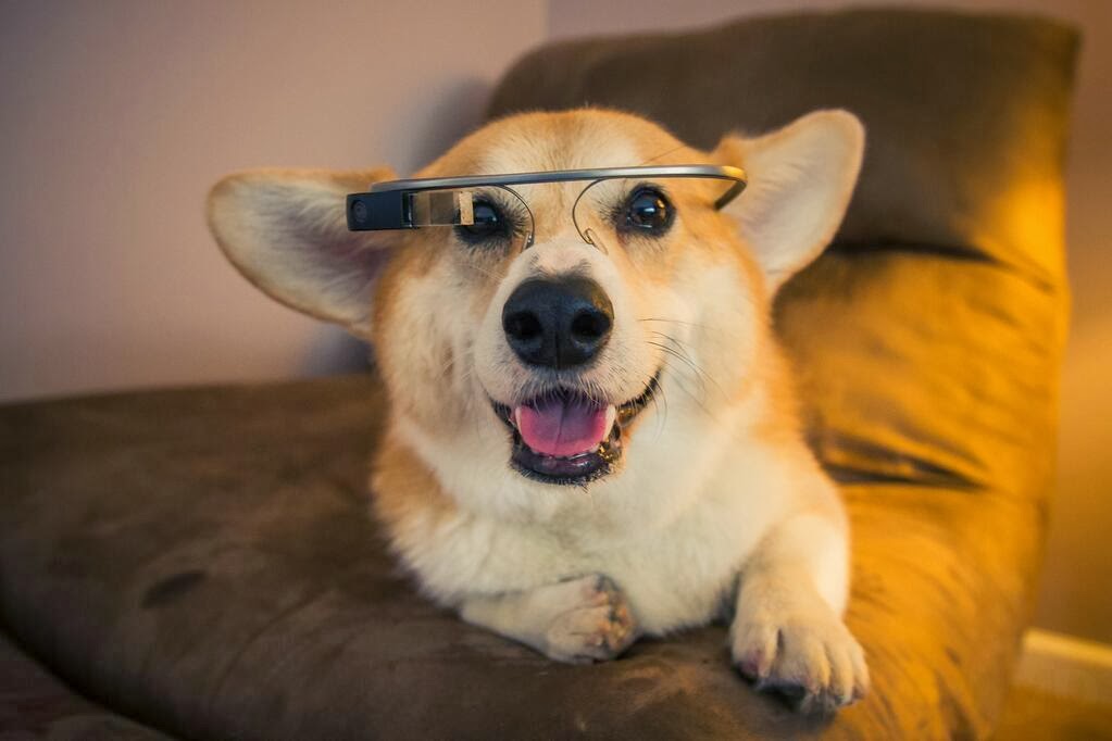 Microsoft testing their own version of Google Glass