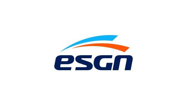 ESGN: a new global network for eSports