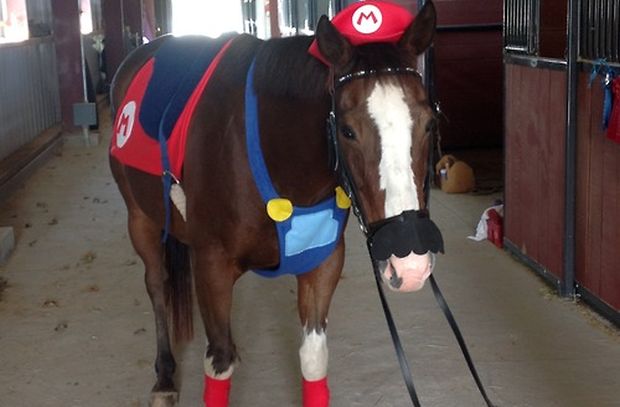 Here's a picture of a horse dressed as Mario