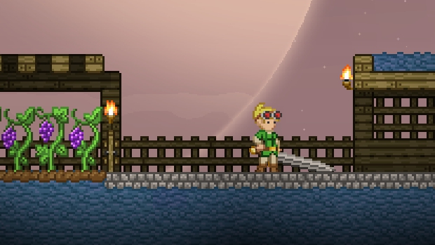 No more character wipes for Starbound starting right now