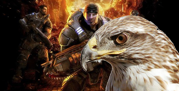Do you want to more Art Hawk?
