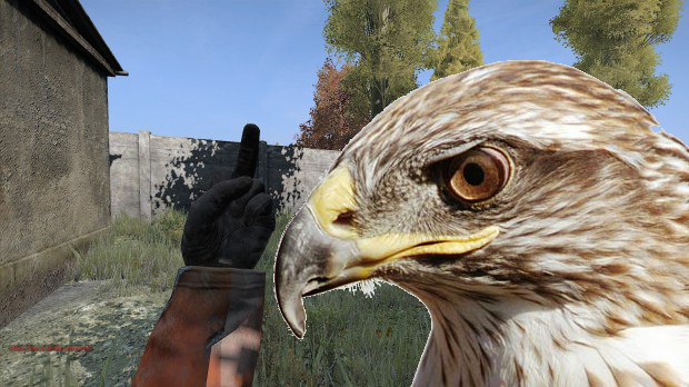 Art Hawk explains DayZ