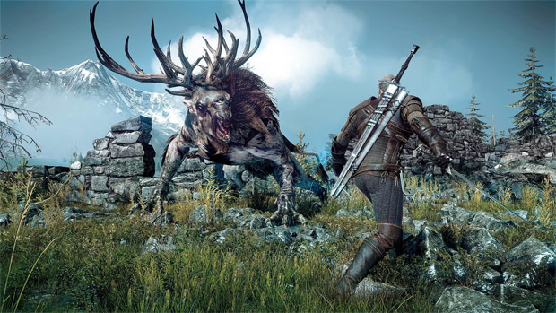 Polish wasn't the only reason for The Witcher 3's delay