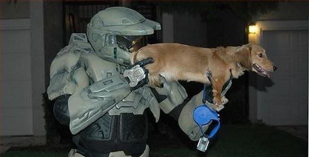 Ridley Scott attached to a Halo live-action project